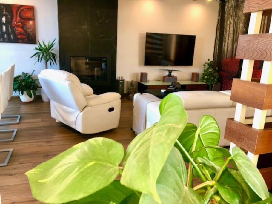 Modern Zen Bali Hotel Puerto Real Kültér fotó